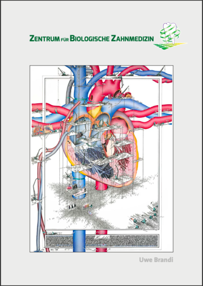 Konzept Biologische Zahnmedizin 